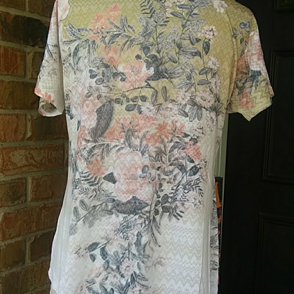 Cato Blouse - Picture 3 of 4